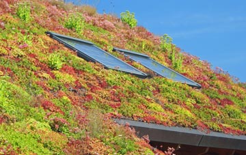 Cobblers Corner living roof systems